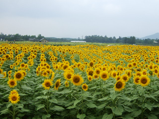 b0087400_23555530.jpg