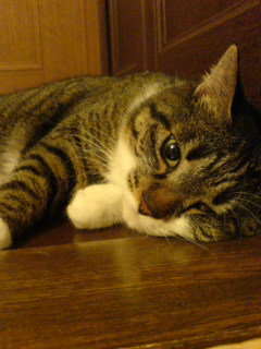 c0035001_21262930.jpg