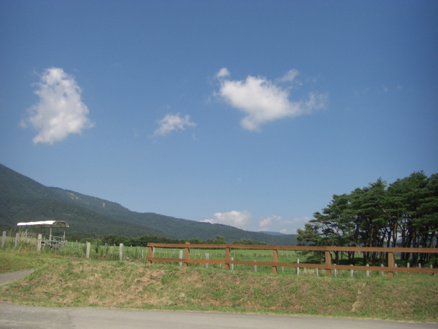 e0050801_283781.jpg