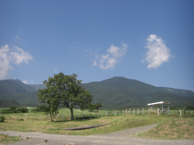 e0050801_285826.jpg