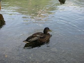 e0068904_21311310.jpg