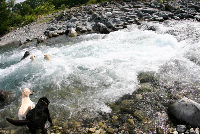 c0089005_2135251.jpg