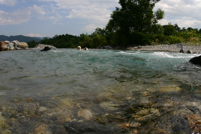 c0089005_21432948.jpg