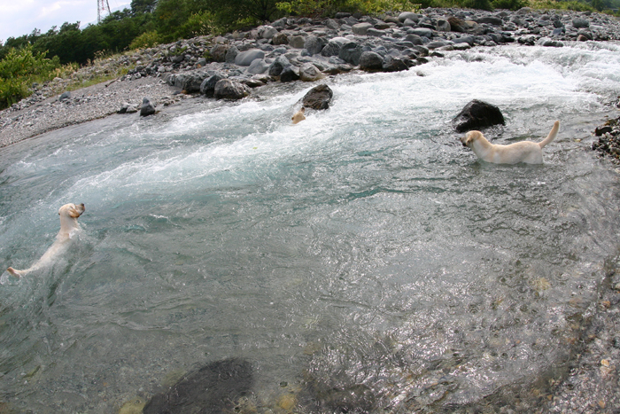 c0089005_21573090.jpg
