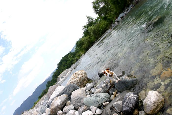 c0089005_22244778.jpg