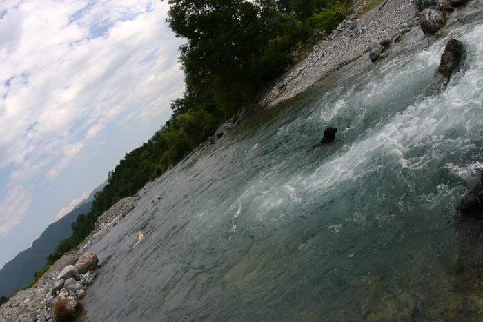 c0089005_2235678.jpg