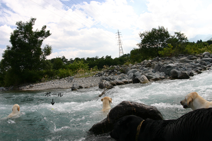 c0089005_2271441.jpg