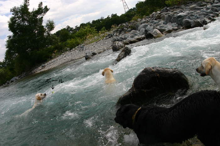 c0089005_2273871.jpg