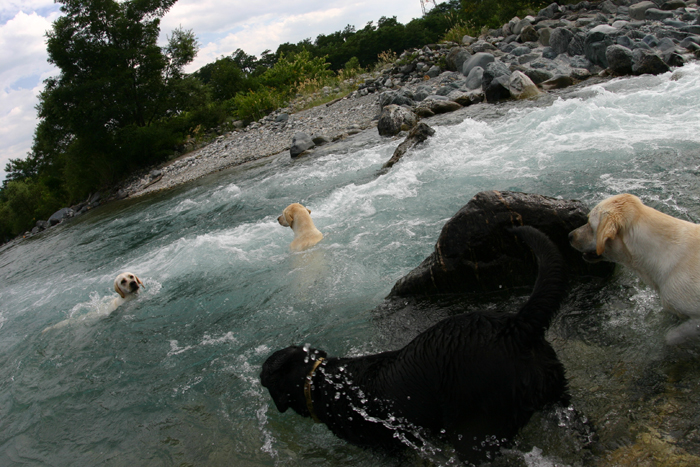 c0089005_2275260.jpg