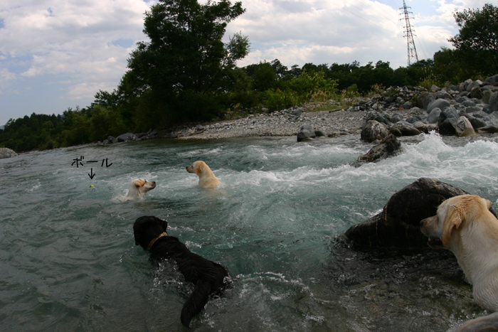 c0089005_228797.jpg