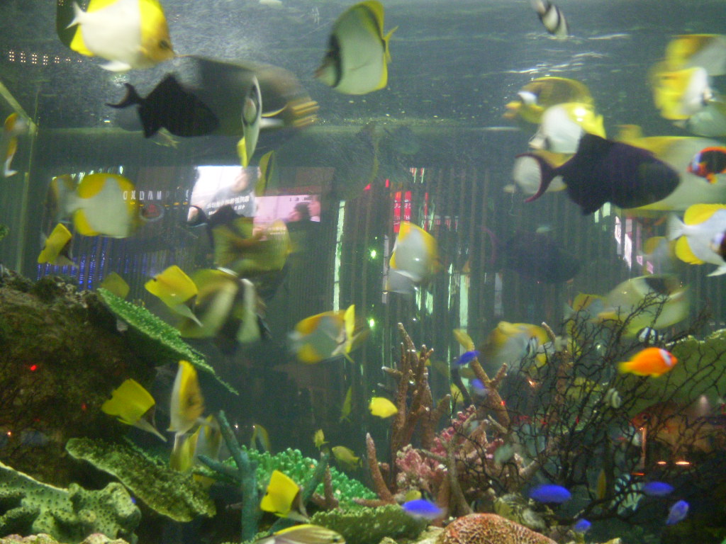 b0089407_063530.jpg