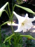 f0053615_0271677.jpg