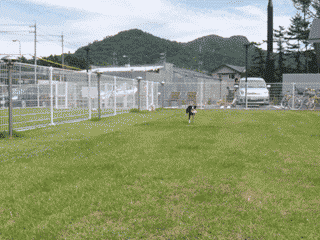 e0080117_19594573.gif