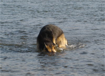 c0090220_11175265.jpg