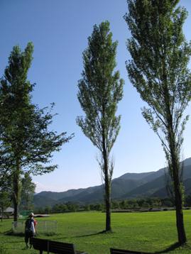 c0124322_10315318.jpg