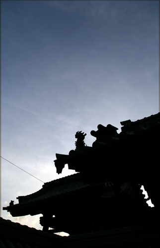 c0077129_1452958.jpg