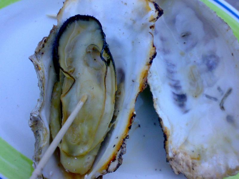 f0059629_23214426.jpg
