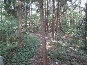 d0079830_9321687.jpg