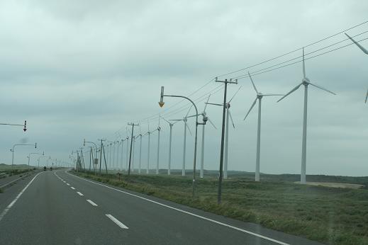 b0085331_7103026.jpg