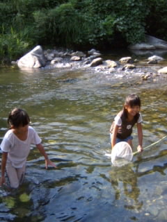 c0100534_19194825.jpg