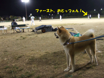 f0008935_23312536.gif
