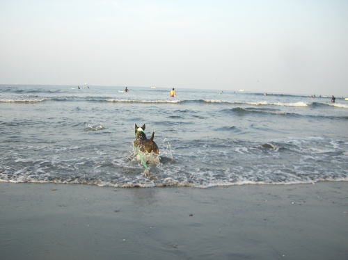 f0094843_15171641.jpg