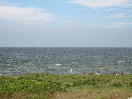 a0107644_16134224.jpg