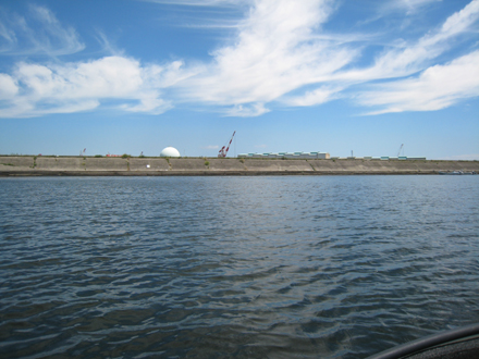 a0107644_1691169.jpg