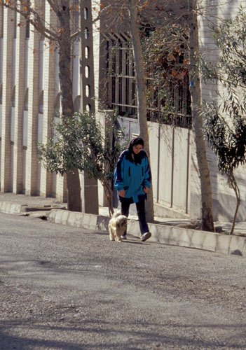 b0006449_17232711.jpg