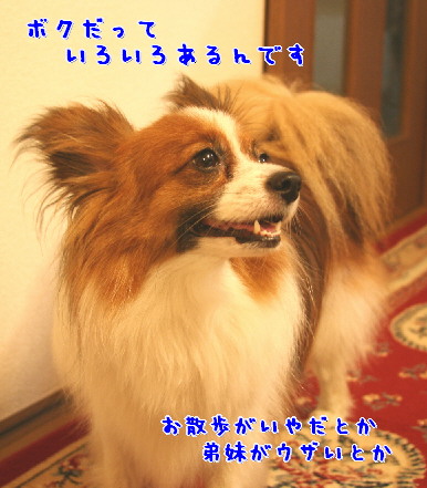 d0013149_216955.jpg