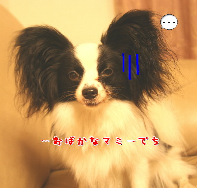 d0013149_241434.jpg