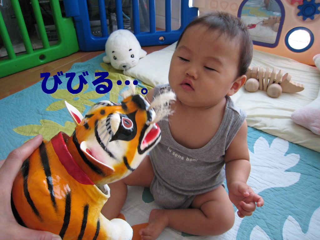 a0090451_1351164.jpg