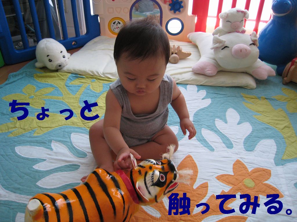 a0090451_13514398.jpg