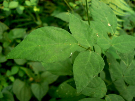 d0091754_031948.jpg