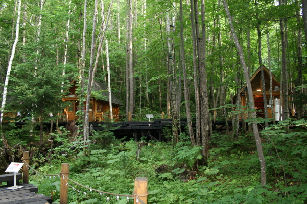 f0077159_23504013.jpg