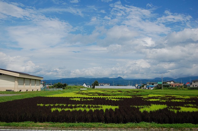 c0048667_2250327.jpg