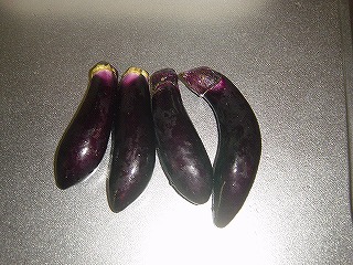f0077768_17224840.jpg