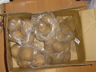 f0077768_1741139.jpg