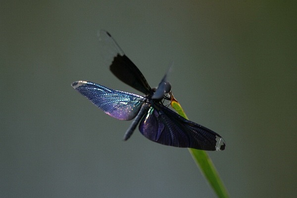 b0084270_244252.jpg