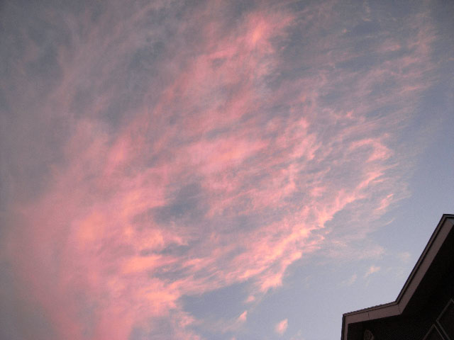 e0100772_2253022.jpg