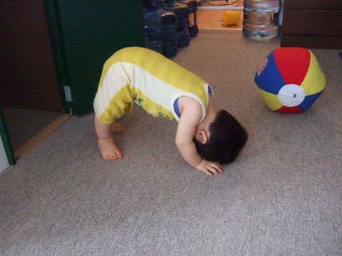 f0070875_21473135.jpg