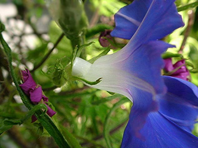 a0079880_15502857.jpg