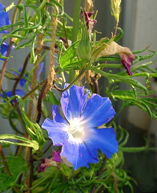 a0079880_15524684.jpg