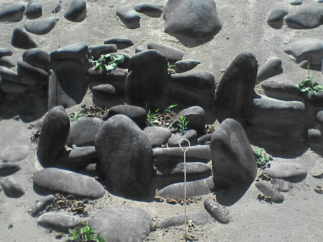 c0069380_1848222.jpg