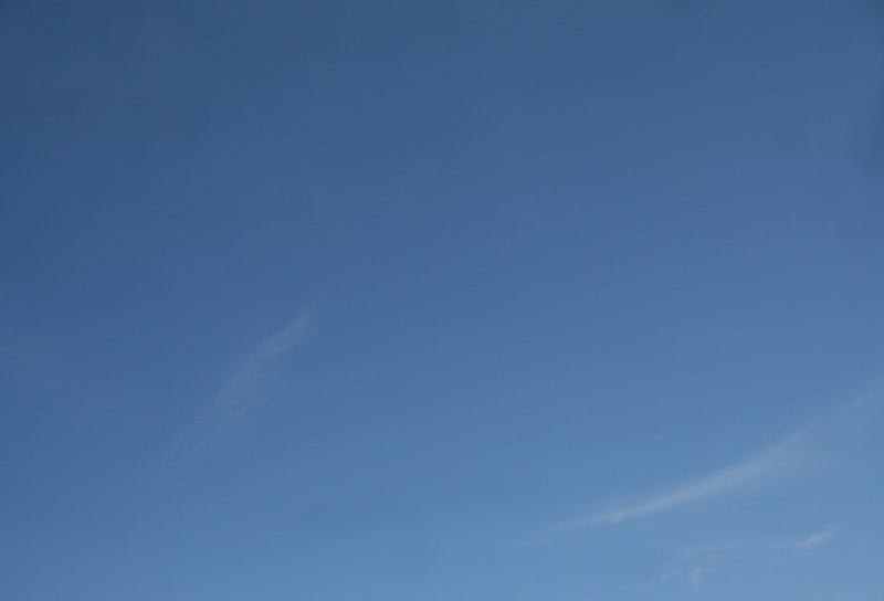 e0024081_1628686.jpg
