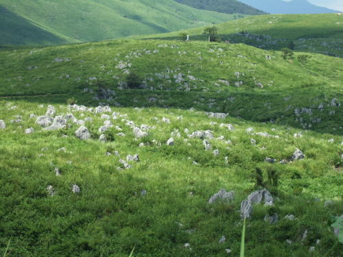 f0004182_22542124.jpg