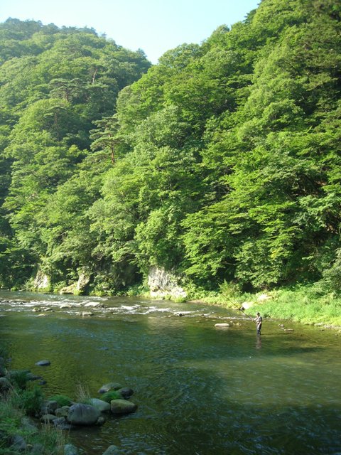 a0045688_111984.jpg