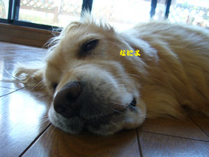 c0085188_22255238.jpg