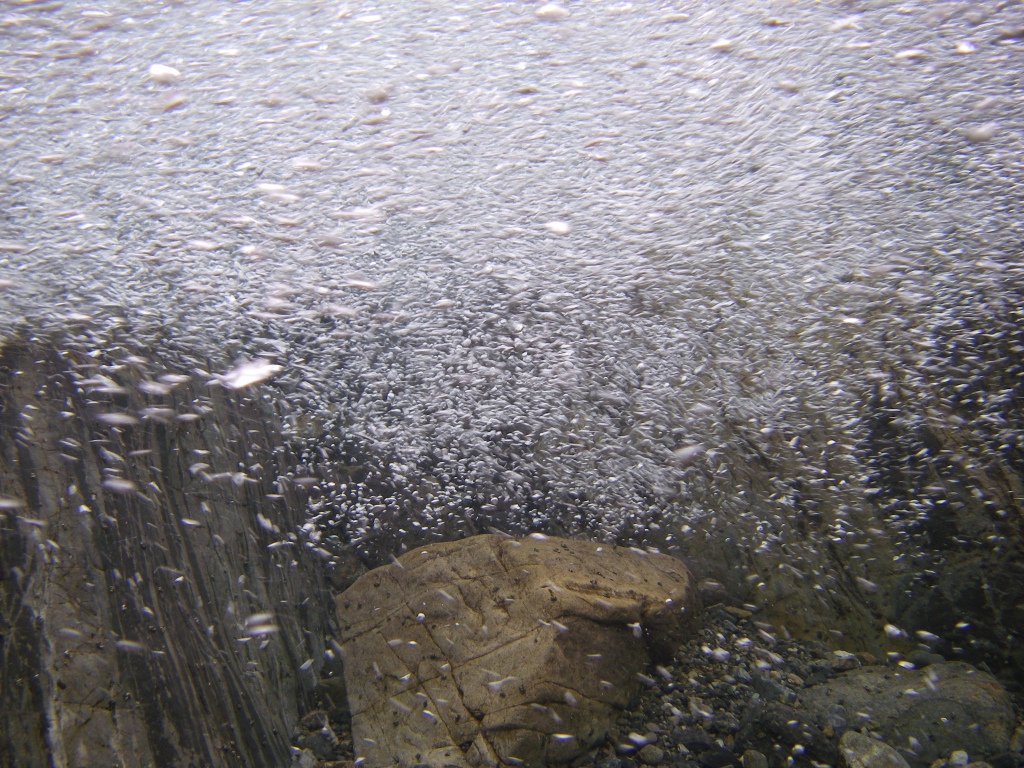 b0092694_2145825.jpg