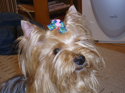 f0130894_22411719.jpg